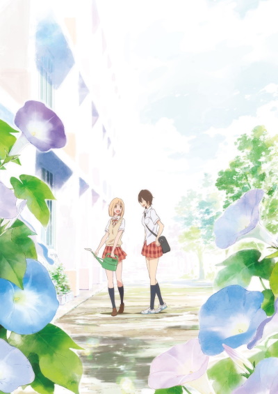 Kimi no Hikari: Asagao to Kase-san.