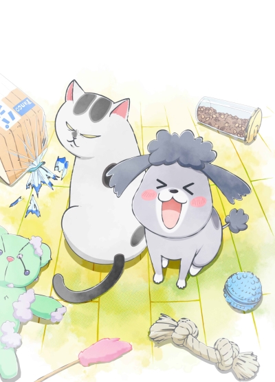 Inu to Neko Docchi mo Katteru to Mainichi Tanoshii