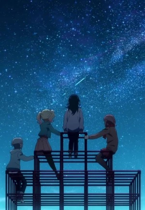 Journey to Bloom