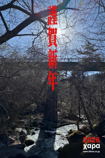 Evangelion Housou 30 Shuunen Kinen Tokubetsu Kougyou